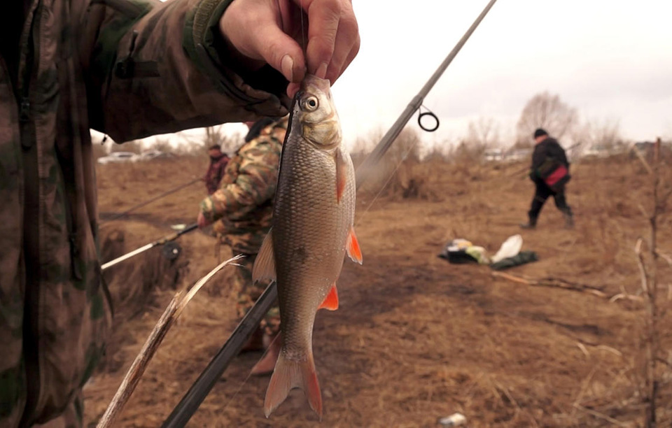 Ущерб в 4 000 рублей причинили 3 жителей района, рыбача на Припяти