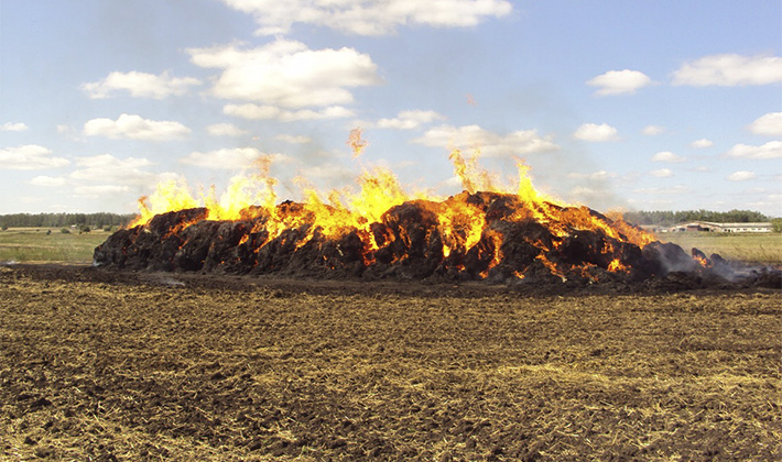 60 тонн соломы уничтожено пожаром в хозяйстве на Столинщине