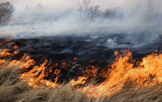 ПЕРВЫЕ ПРИРОДНЫЕ ПОЖАРЫ ЗАФИКСИРОВАНЫ НА СТОЛИНЩИНЕ