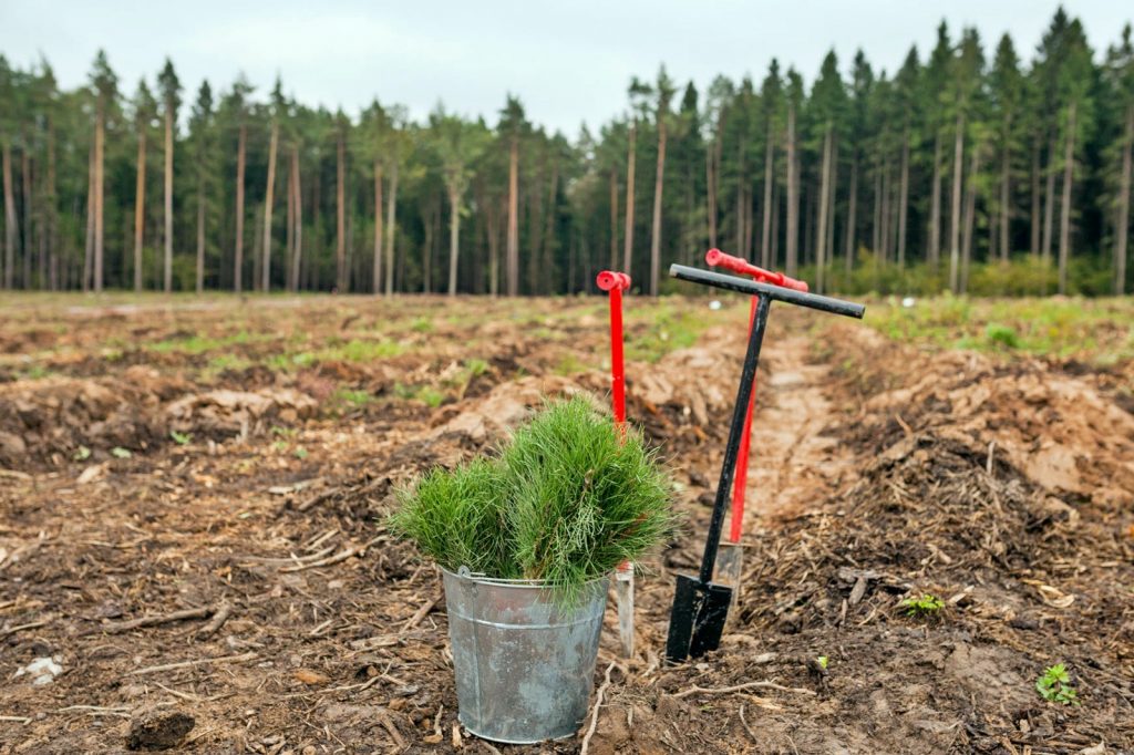 з 8 па 22 кастрычніка на тэрыторыі Беларусі і праводзіцца на тэрыторыях, найбольш пашкоджаных ураганамі