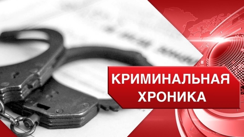 Криминальная хроника на Столинщине