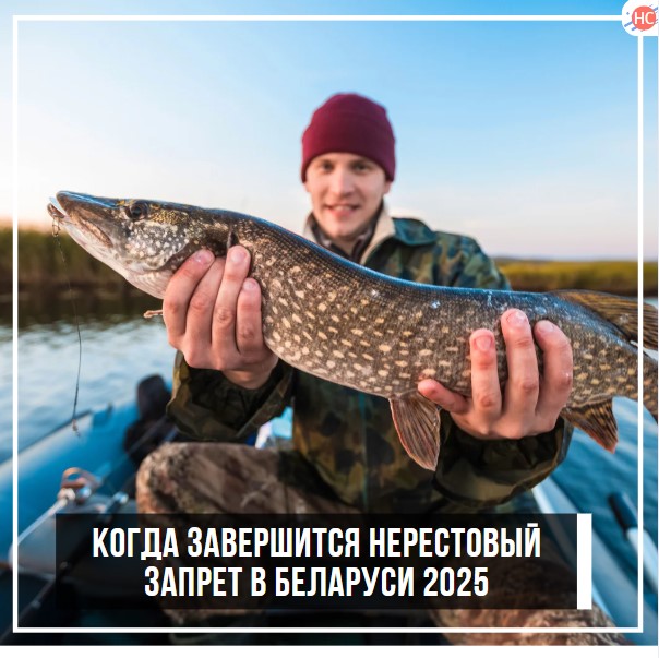 Когда завершится нерестовый запрет в Беларуси 2025