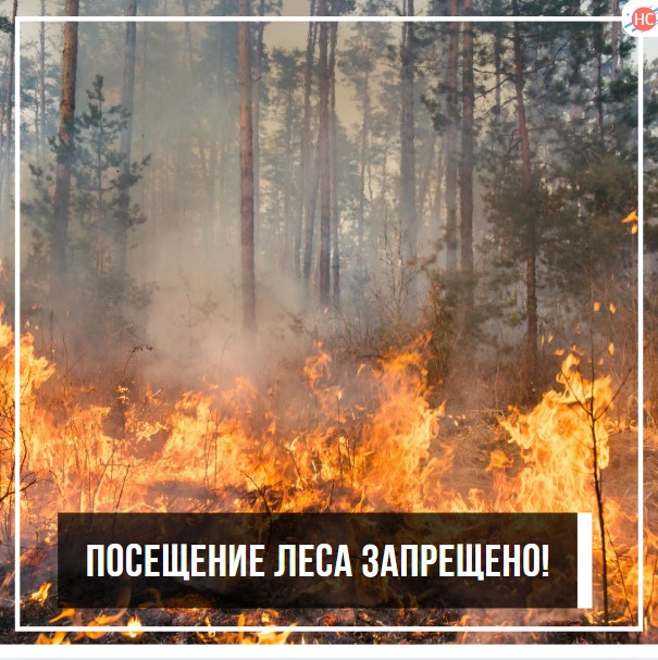 Посещение леса запрещено!