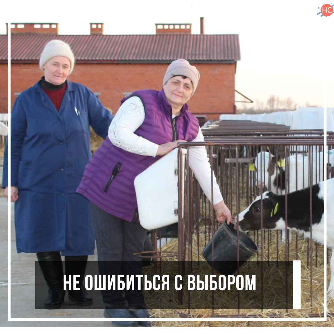 Не ошибиться с выбором