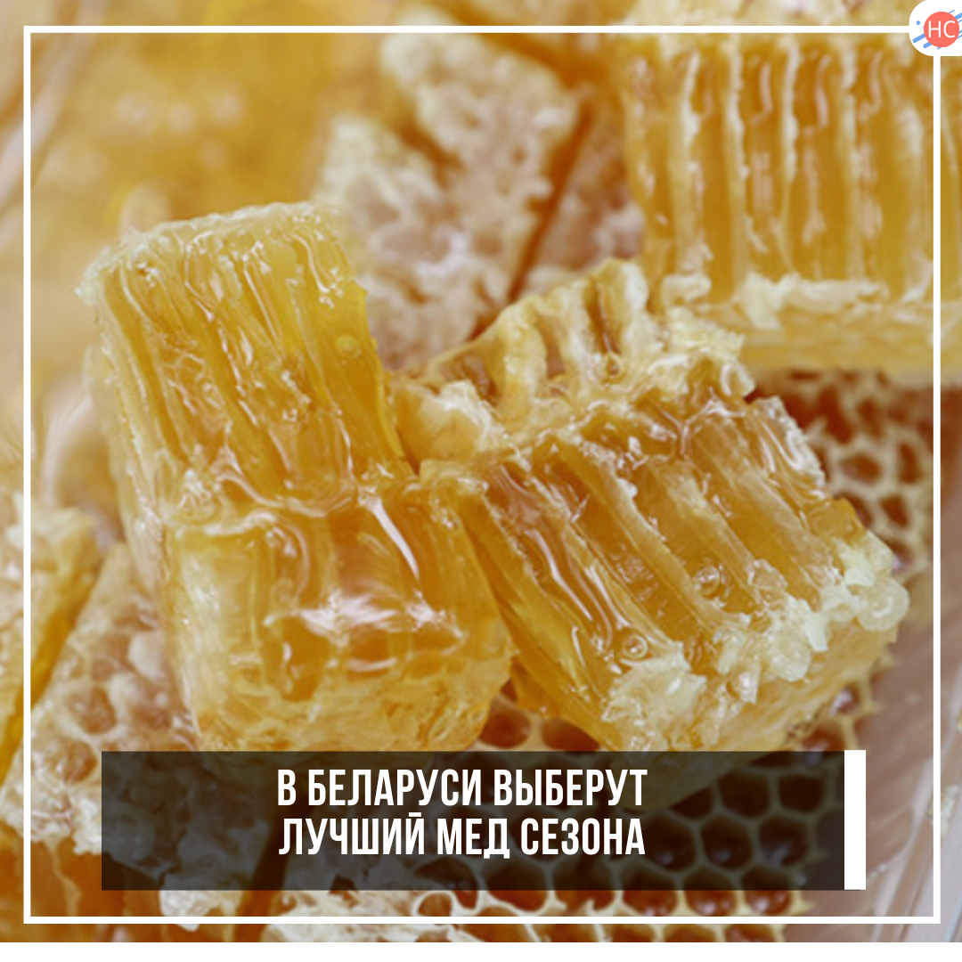 В Беларуси выберут лучший мед сезона