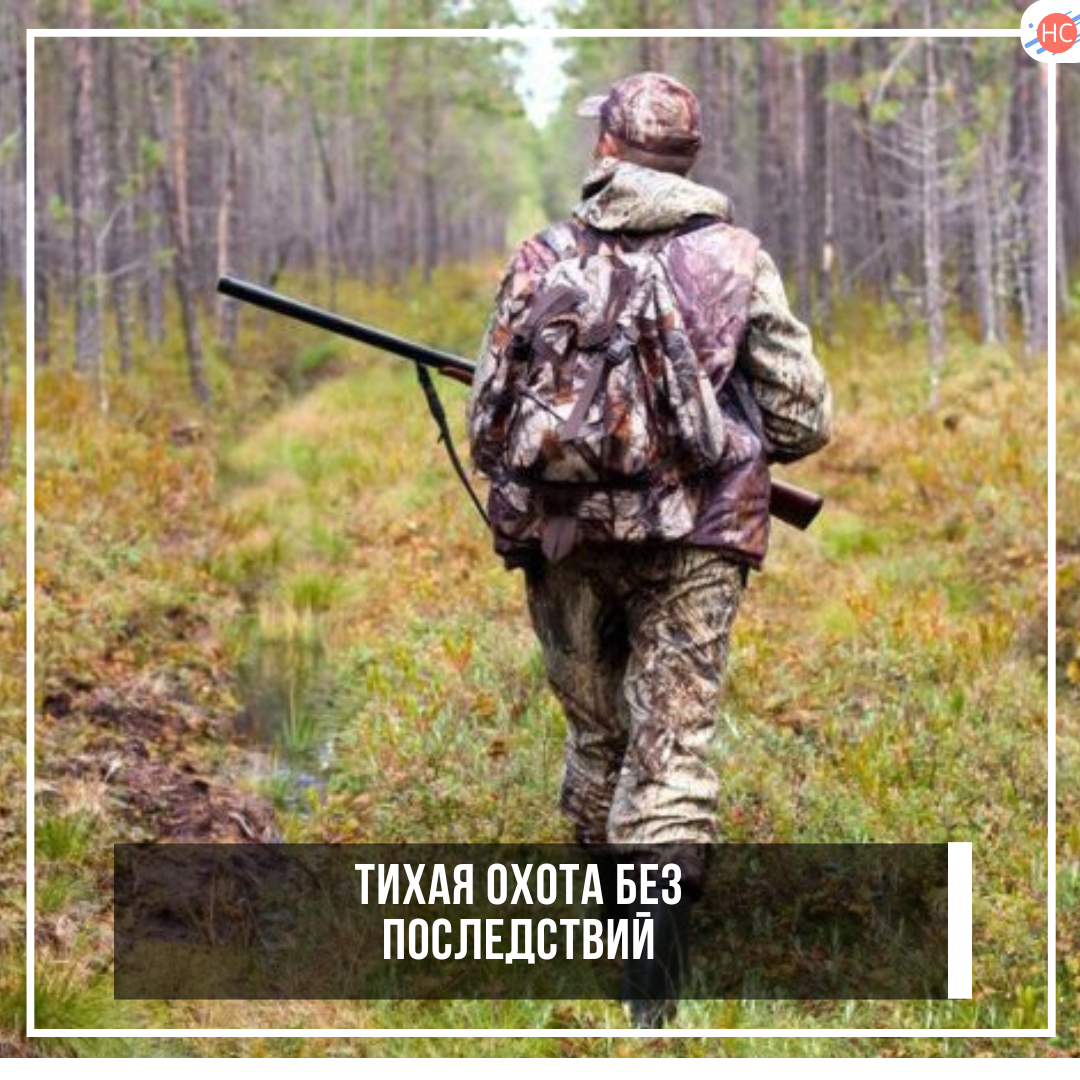 Тихая охота без последствий
