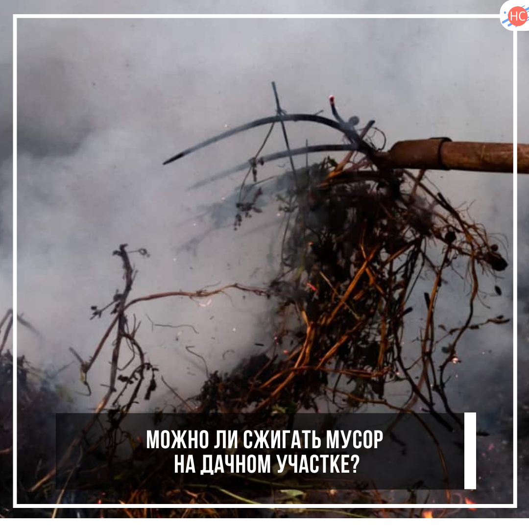 Можно ли сжигать мусор на дачном участке?