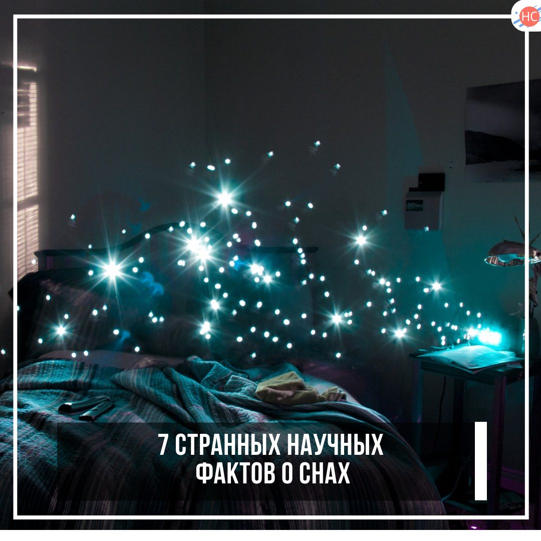 7 странных научных фактов о снах