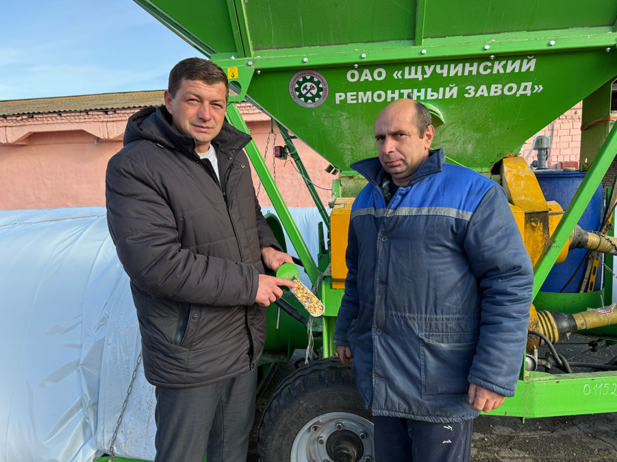 Силос в закромах, зерно – в «рукавах»