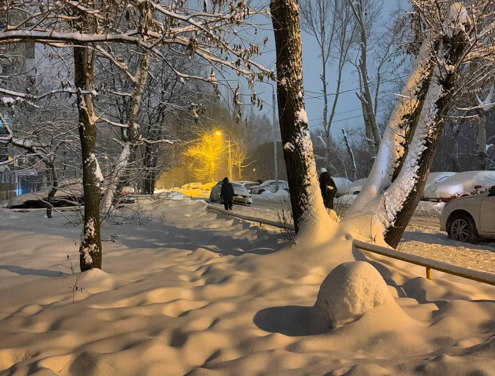 Декабрь указчик: О чем говорят народные приметы о погоде и как они предсказывают будущий год