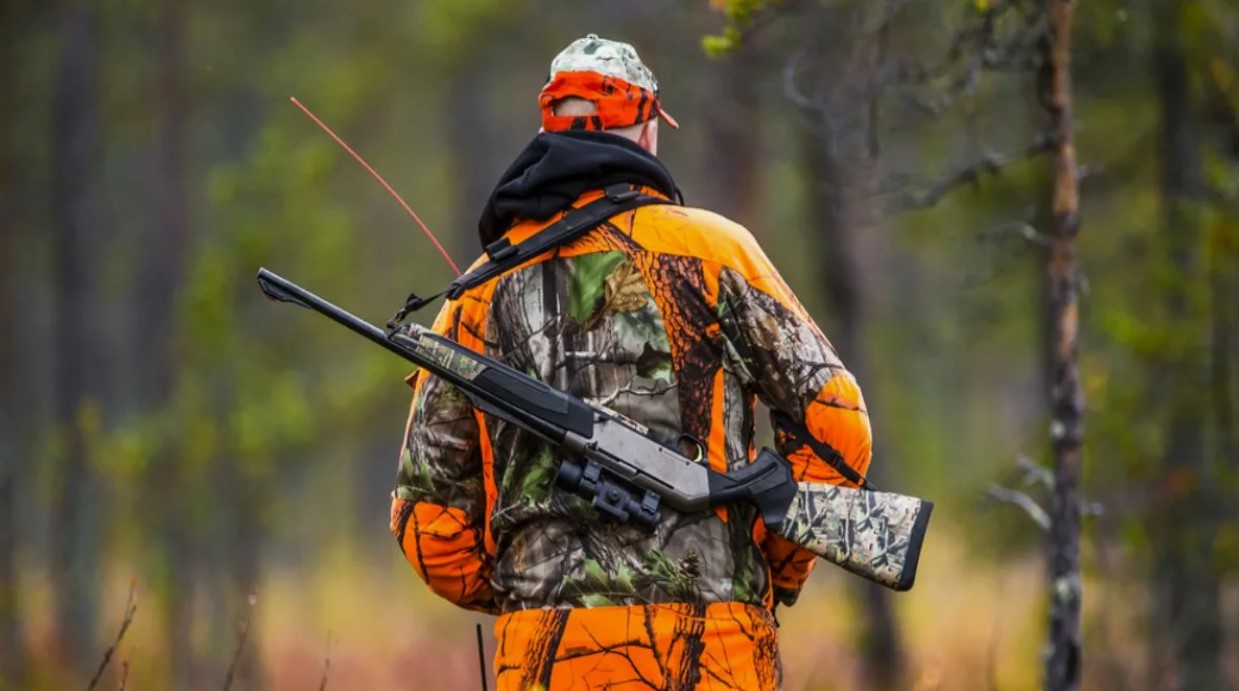 Открытие сезона охоты в ноябре: полный гид по правилам и срокам добычи пушных и копытных животных