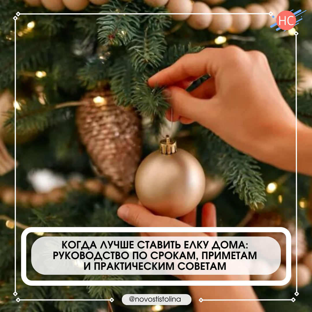 Когда лучше ставить елку дома: руководство по срокам, приметам и практическим советам