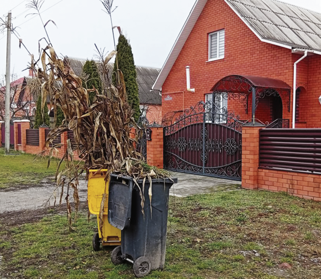 Никаких полумер, или Куда девать «зелёный» мусор?