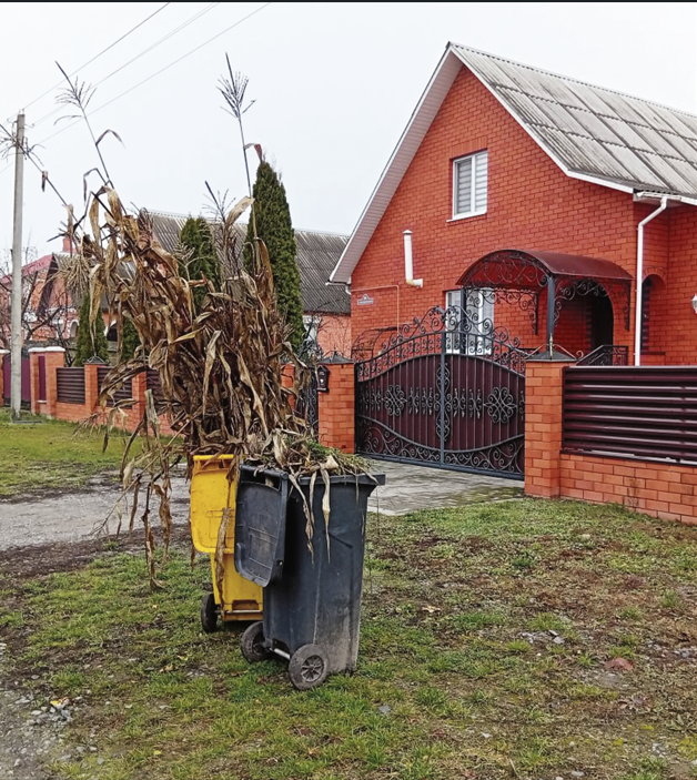 Никаких полумер, или Куда девать «зелёный» мусор?