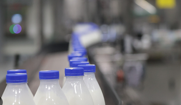 Беларусь планирует поставлять молочную продукцию в Мьянму через биржу