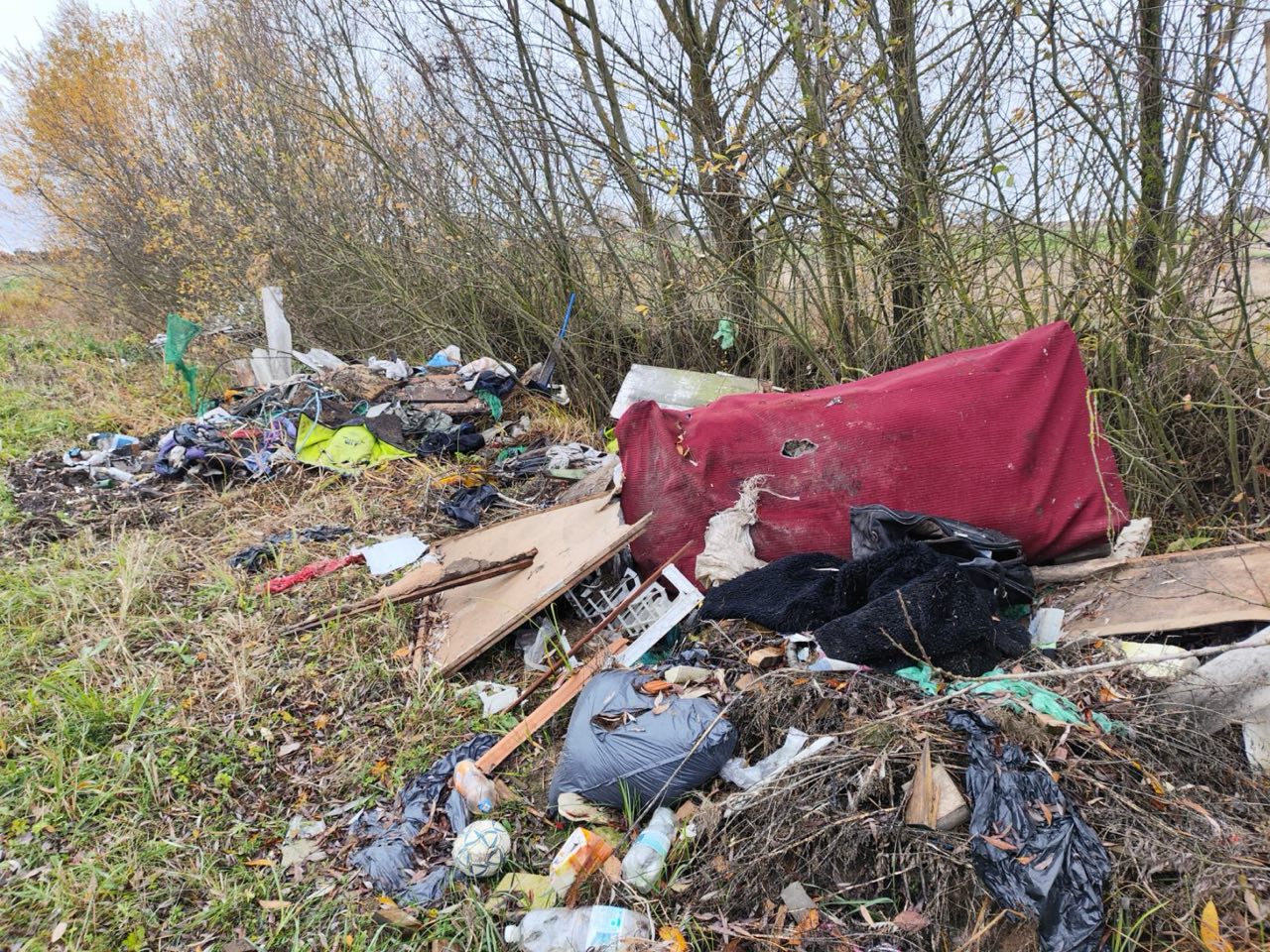 Установлен и наказан житель деревни Большие Викоровичи, который устроил свалку на землях КУПП «Маньковичи».