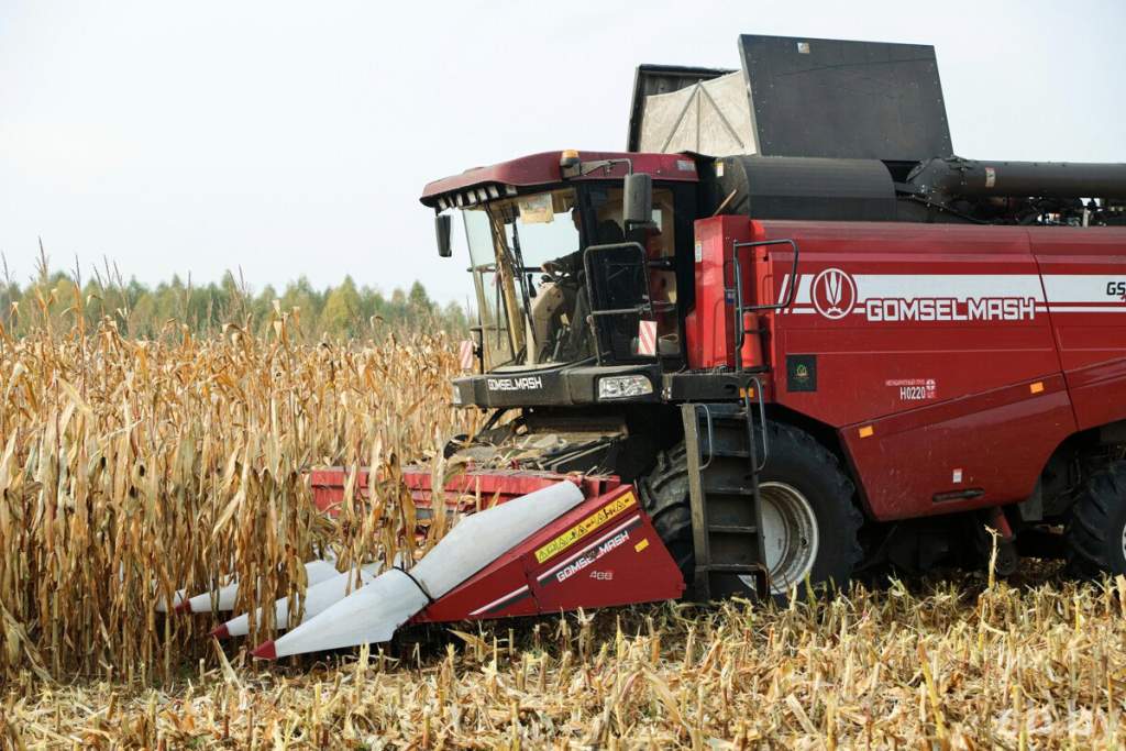 С полей страны намолочено 11 миллионов 144 тысячи тонн зерна вместе с рапсом и кукурузой