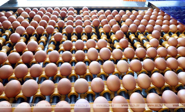 Утвердили требования к реализации на рынках товаров животного происхождения 