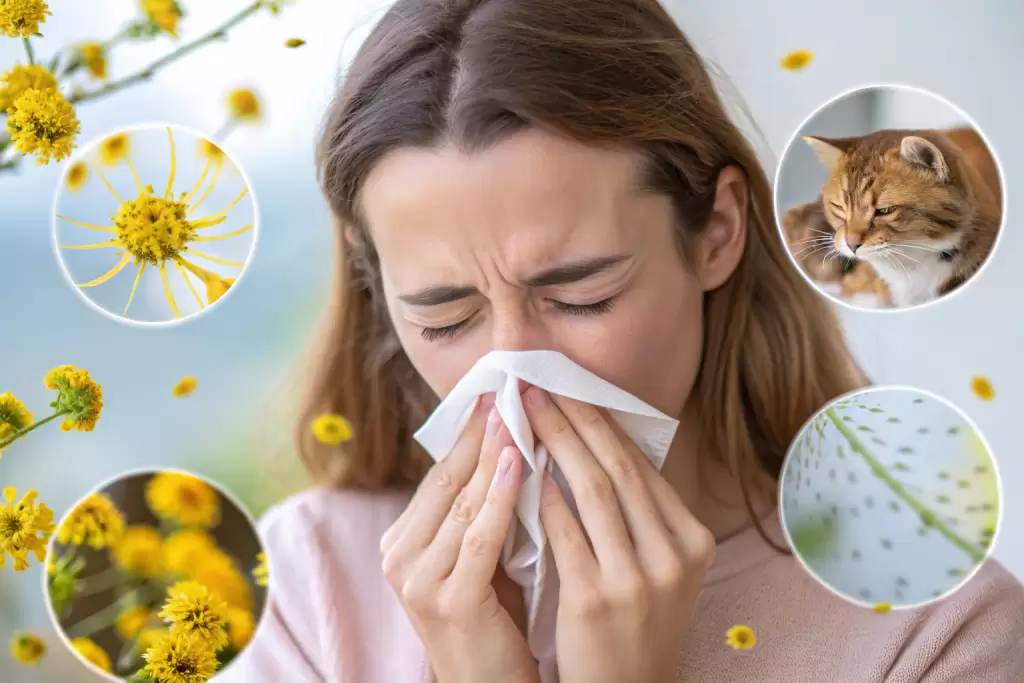 Корни аллергии: почему иммунитет атакует пыльцу, еду и котиков? Разбираемся в истинных причинах с врачом