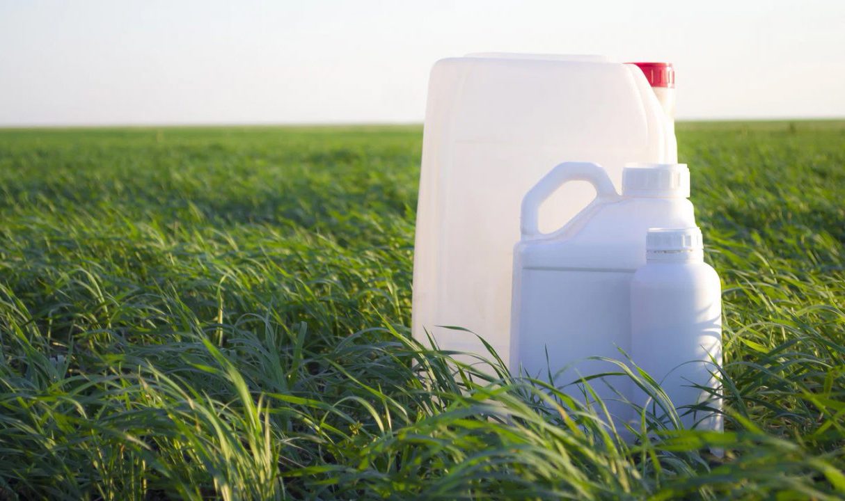 Осторожно, химия: Как не отравиться соседским урожаем и выжить в сезон обработки полей