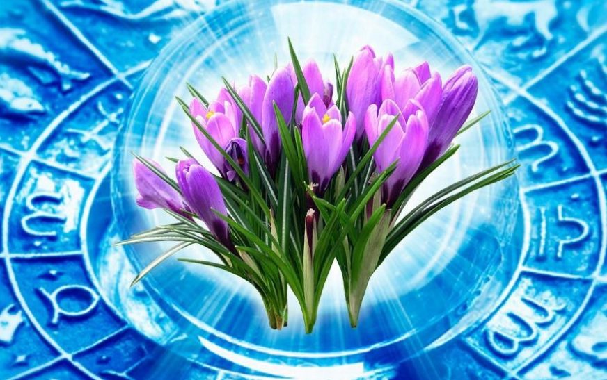 Гороскоп на 7 марта